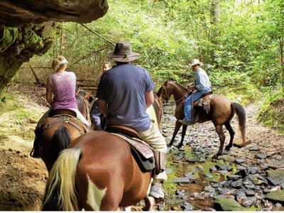 South East Pack Trips: Big South Fork TN